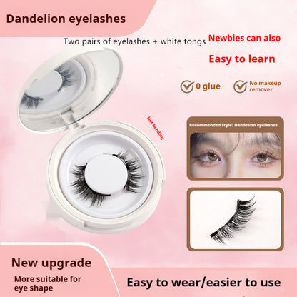 Magnetic Lash Kit